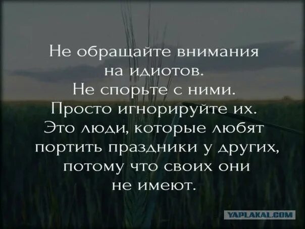 Глупый внимание. Не обращай внимания цитаты. Цитаты, не обращайте внимание. Не обращать внимание цитаты. Цитаты про внимание.