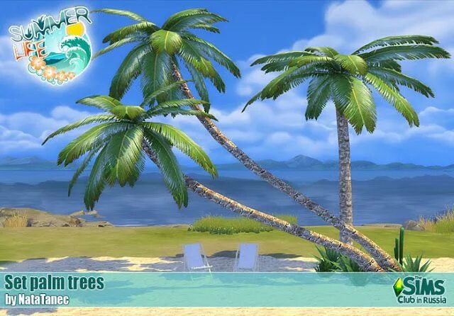 Palms set