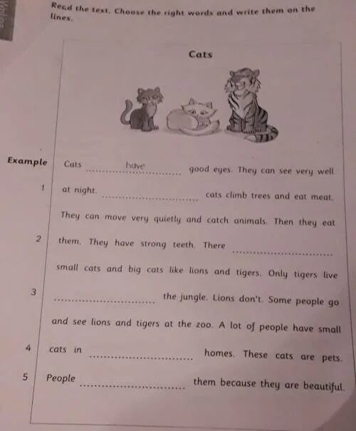 Choose the right word the scene. Read and choose the right Word. Read the text choose the right Words and write them on the lines. Read the text choose the right Words and write them on the lines on the lines 4 класс. Read and choose the right Words then take roles and Act out 4 класс.