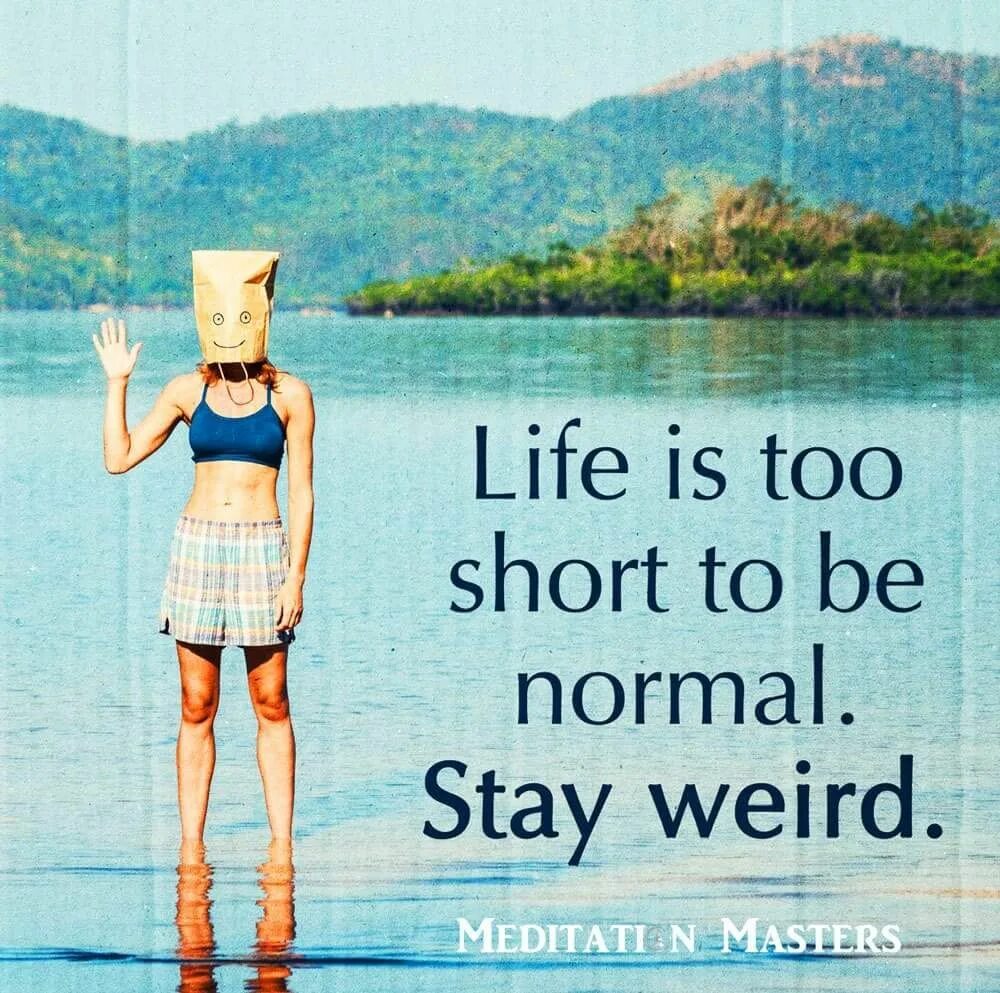 Life is short. Life is too short to be normal stay weird. Life's too short. Life is...too short.