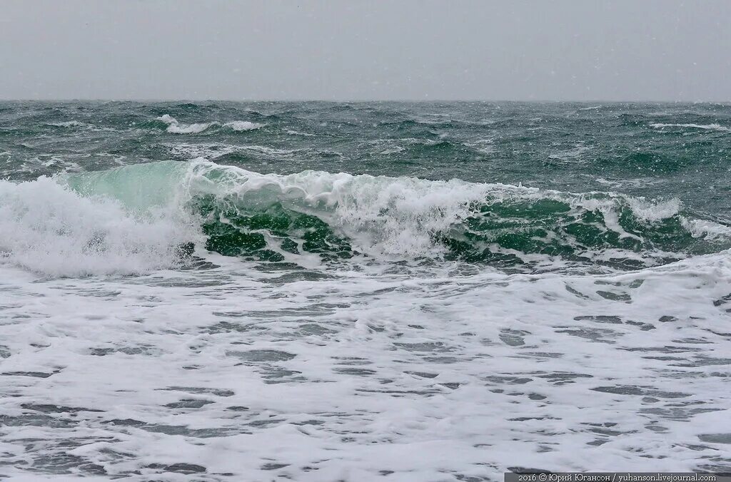 Песня черные волны черного моря. Прибой и шторм у Херсонеса. Черное море в прямом смысле. Черное море в январе фото.