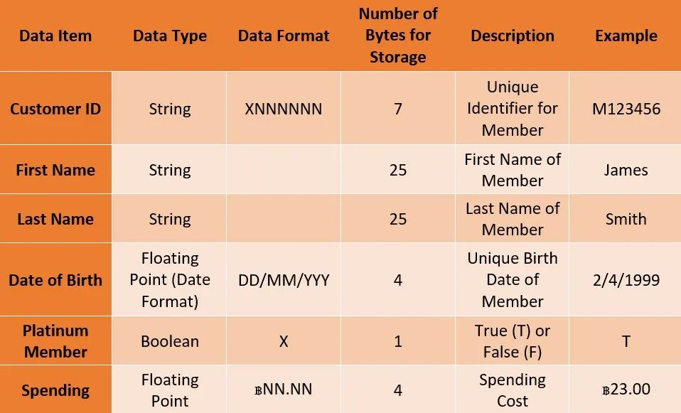 Data dictionary. Словарь данных пример. data dictionary пример. data dictionary как сделать. data dictionary для сущности split the bill.
