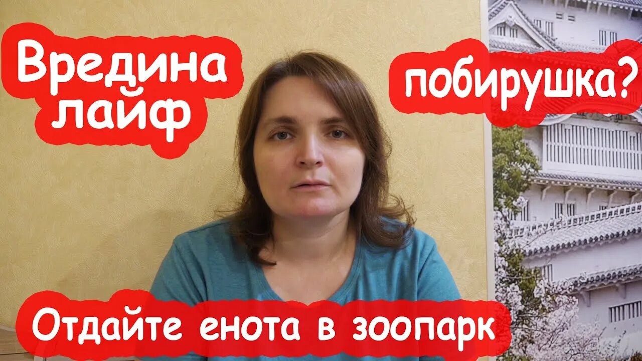Блоггер уралочка лайф блоггер. Vredina life блоггер. вредина лайф 2025. вредина лайф фото алисы сейчас. вредина лайф новые видео.