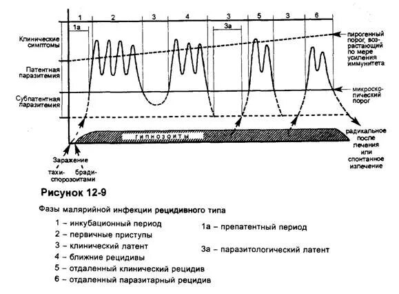 Ранние рецидивы при малярии это рецидивы наступающие. График малярия. Малярия график температуры. Температурные графики при малярии. Рецидивное течение заболевания возможно при малярии.