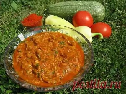 Форум кабачковый