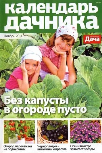 Дача календарь на 2025г Отрывной календарь "Наша дача" 2022 год, 7,7 х 11,4 см купить по выгодной цене