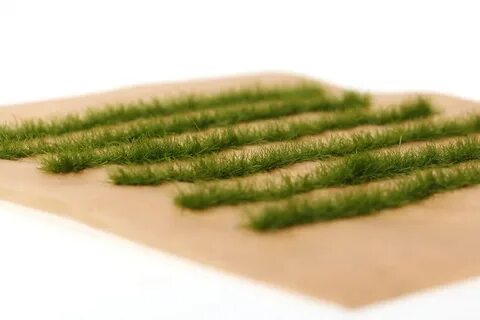 B grass