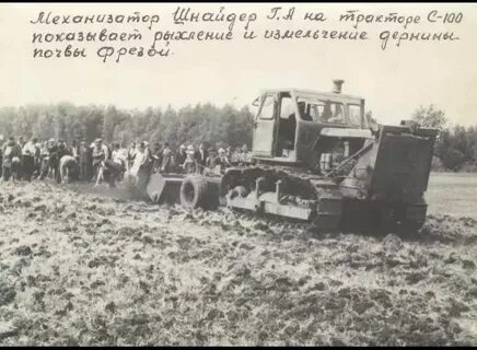 Совхоз новосибирский