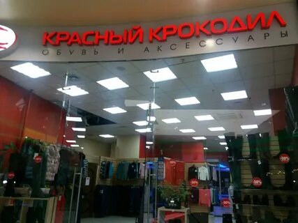 Магазин крокодил