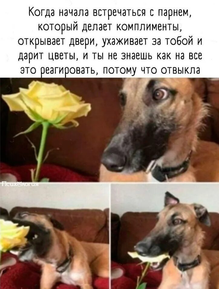 Когда он сделал комплимент. Комплименты. Как красиво ответить на комплимент. Когда он сделал комплимент. Красивый комплимент человеку.