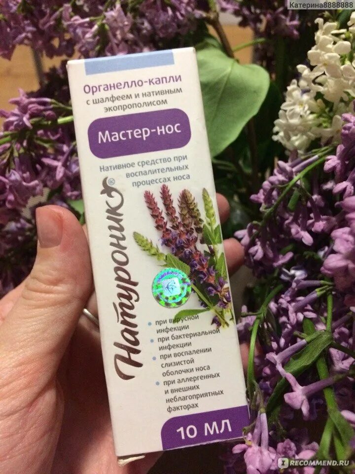 Мастер нос капли. Мастер нос органелло капли. капли мастер нос сашера. сашера мед мастер-нос органелло-капли с шалфеем. натуротогик мастернос.