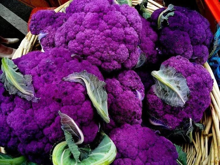 Какой бывает фиолетовый