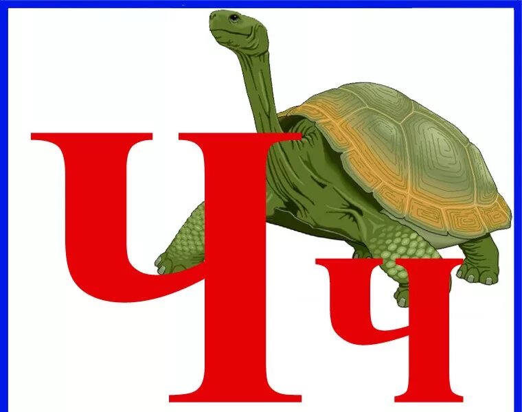 Ч х ж в
