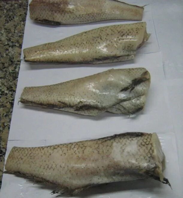 Рыба макрурус что это за рыба отзывы. Макрурус. морская рыба макрурус. макрурус рыба свежемороженая. рыба макрорус или макрурус.