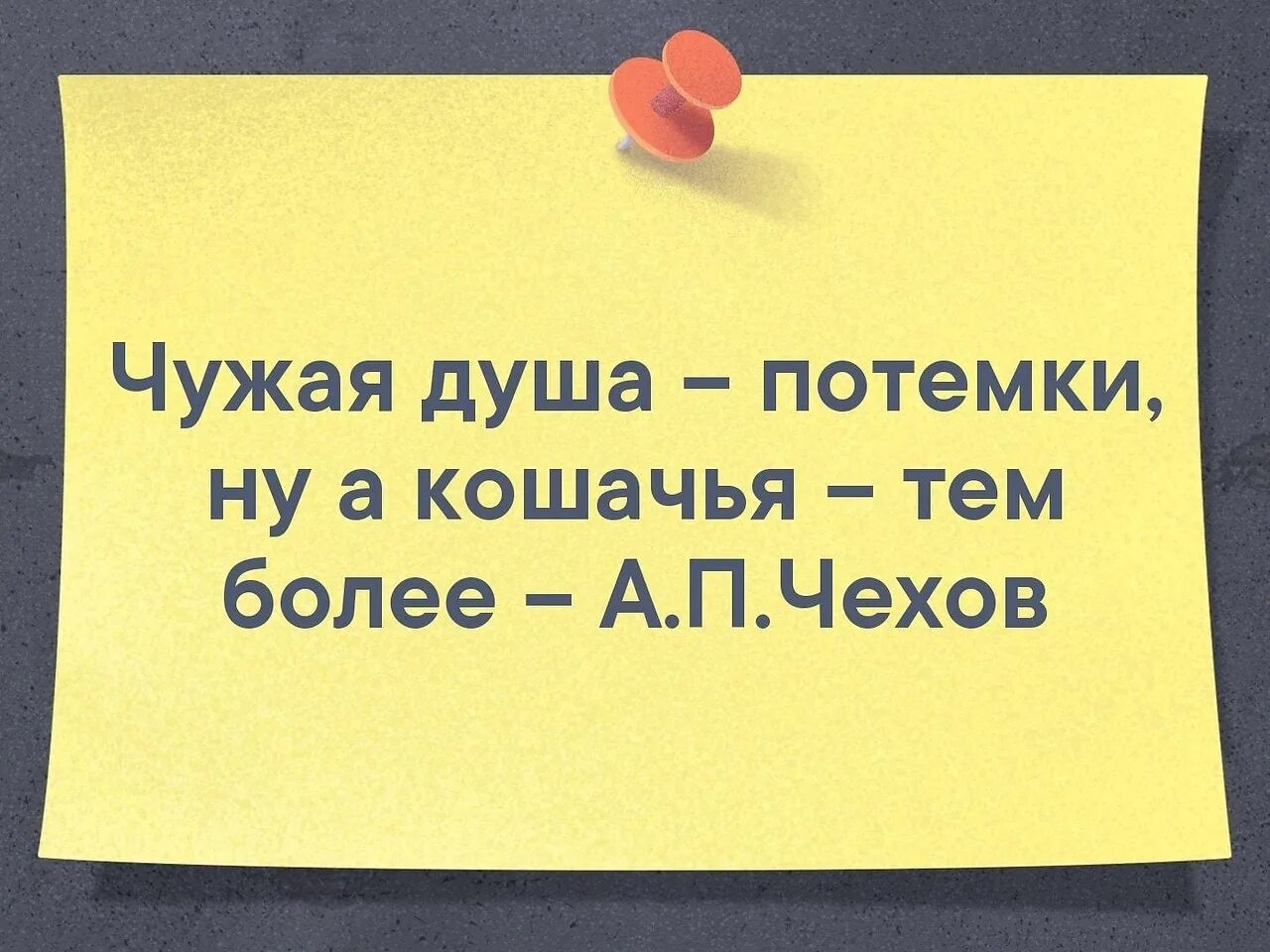 Чужая душа потемки. Чужая душа потёмки пословица. Чужая жизнь потемки. Чужая душа пословица. Пословица чужая душа