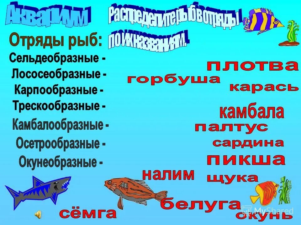 сравнительная характеристика отрядов костных рыб. таблица особенностей отрядов. подкласс костистые отряд сельдеобразные. отряд окунеобразные размножение. таблица отряд и представители.