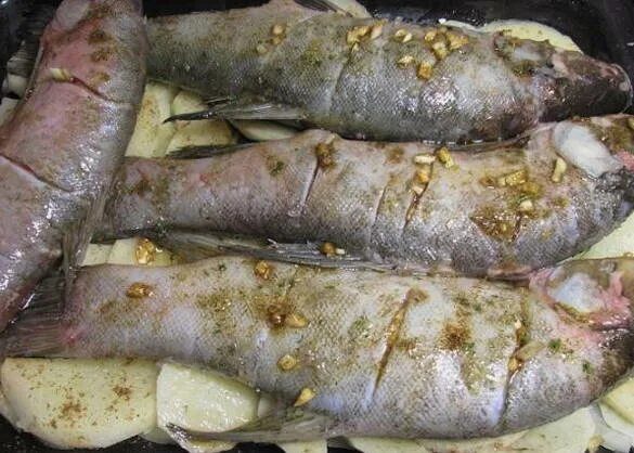Линь в духовке вкусно. Линь в духовке. рыба линь в духовке. как приготовить рыбу линь вкусно. рыба линь как готовить.