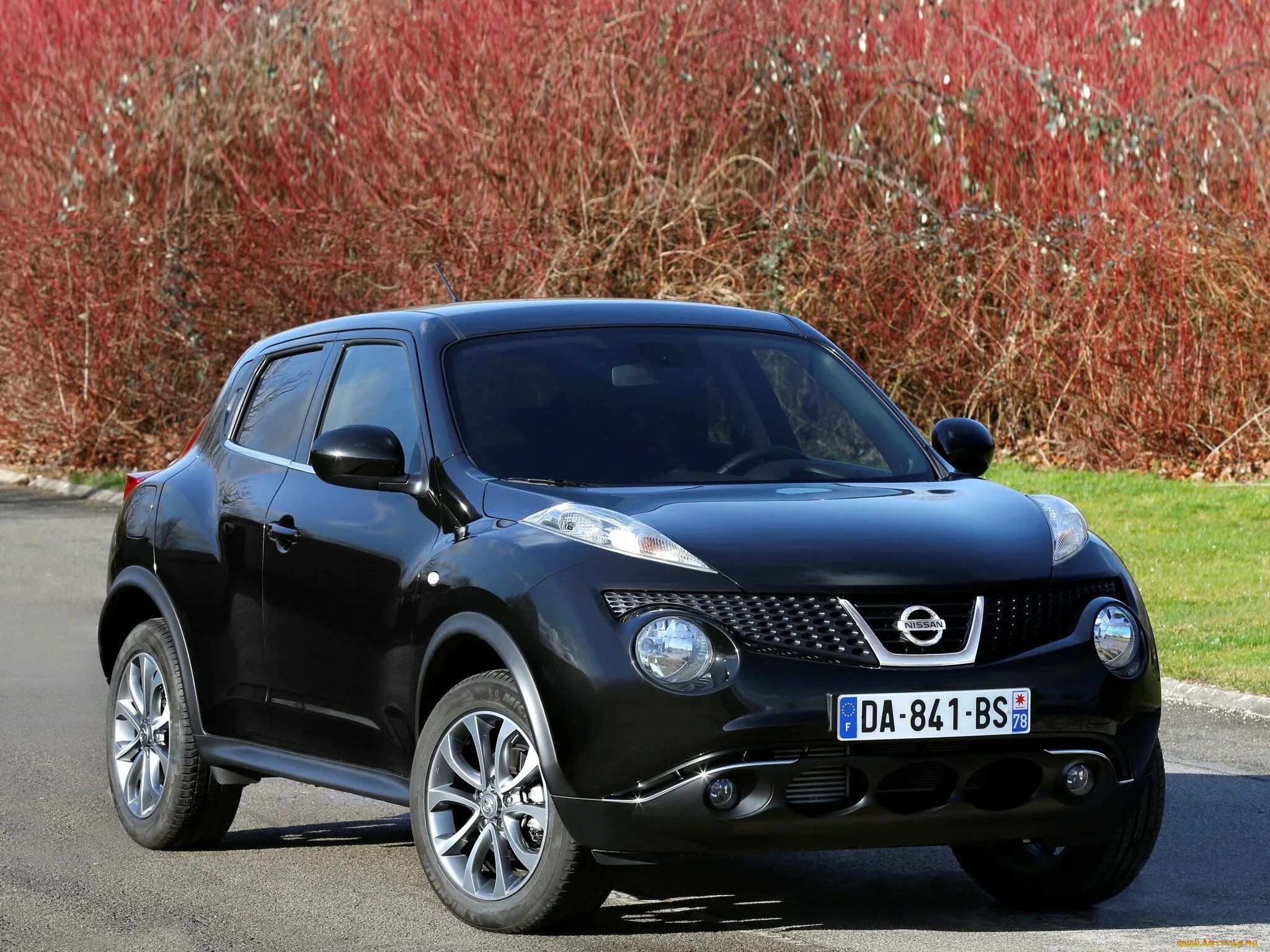 Машины похожие на ниссан. Nissan Juke. Nissan Juke le. Ниссан Жук 2008. Ниссан Жук 2014 черный.