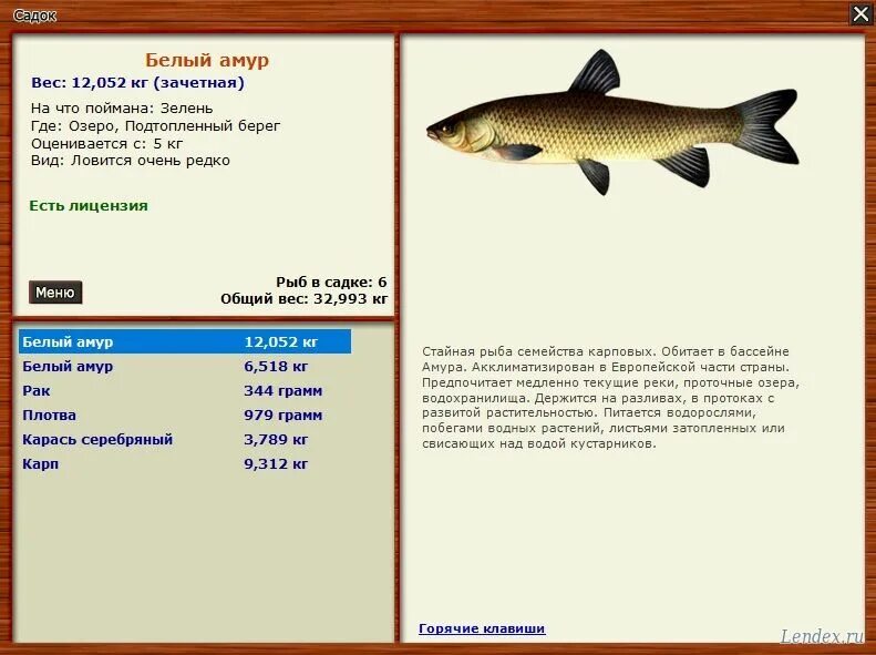 реальная рыбалка щука карасевый пруд. ерш реальная рыбалка. белоглазка реальная рыбалка. реальная рыбалка карасевый пруд на что ловить. на что ловить пескаря.