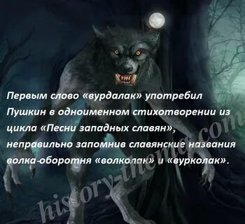 Страшные истории волка