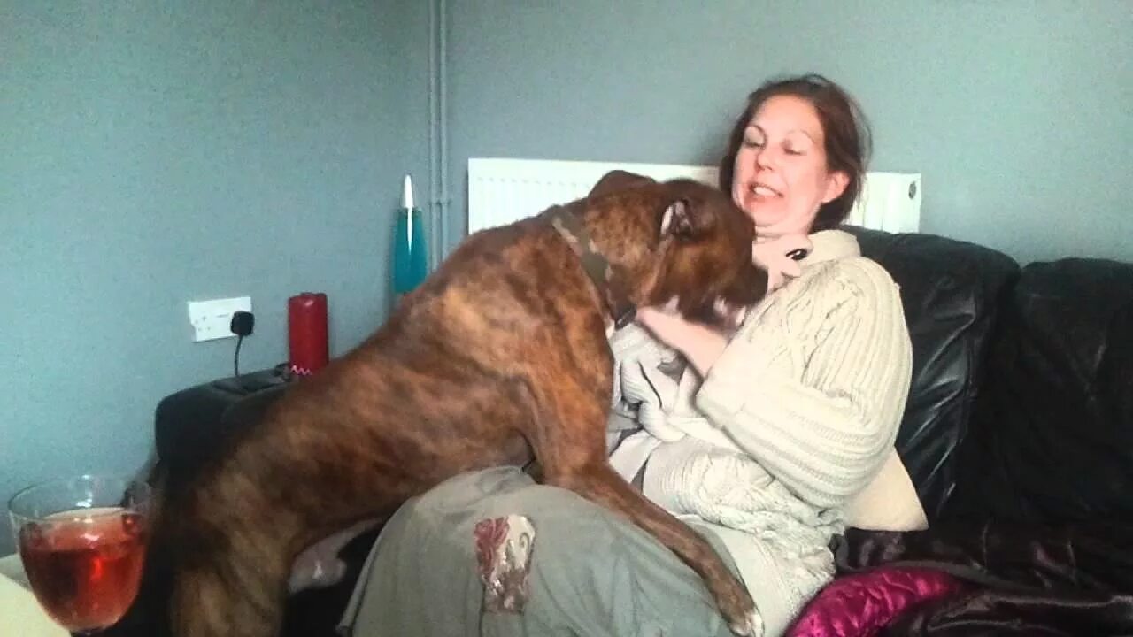 Изменил жене с животными. Мужчина девушка и собака. Изменил жене с животными. Лев и львица любовь. Извращенные приколы гиф.