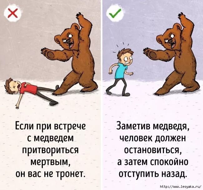 Как спасаться от животных