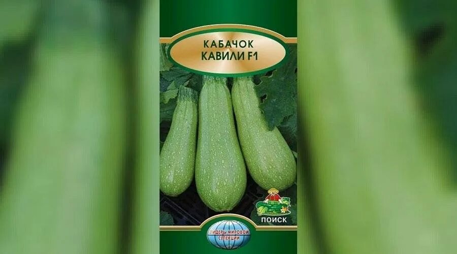 Лучшие сорта кустовых кабачков для открытого грунта. Кабачки сорта лучшие для открытого грунта. семена кабачков лучшие сорта для открытого грунта кустовые. название сортов кустовых кабачков. кабачок семена лучшие сорта для открытого.