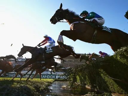 The horse won the race
