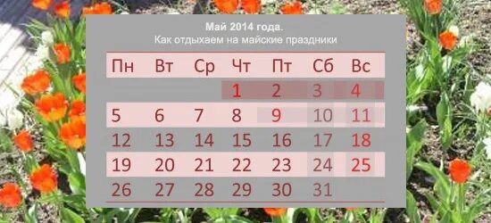 Выходные дни в мае в крыму. Майские праздники в 2014 году. Майские праздники в Европе 2014. Как Страна отдыхает на майские праздники 2014. Дники в мае.