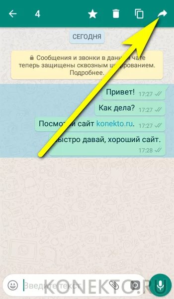 Распечатки переписок ватсап. Как в ватсапе отправить сообщение задним числом. выделение в ватсап. варианты выделения в вот сапе. как восстановить сообщение с таймером в ватсапе.