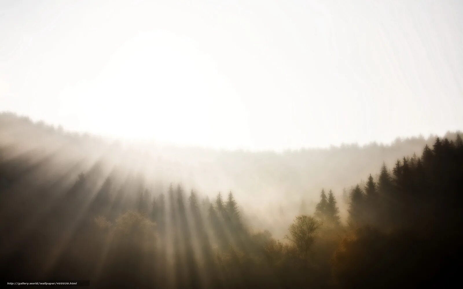 Обои деревья в тумане. Туманные горы. Горы в тумане. Деревья в тумане. Обои на рабочий стол туман.