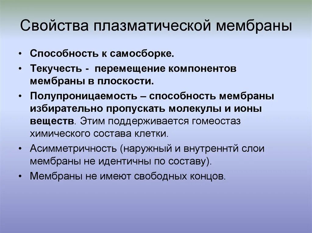 Основным свойством плазматической мембраны является