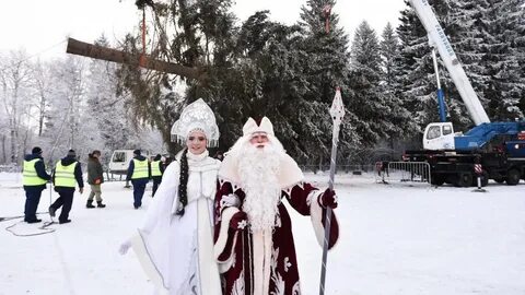 Елка в подмосковье