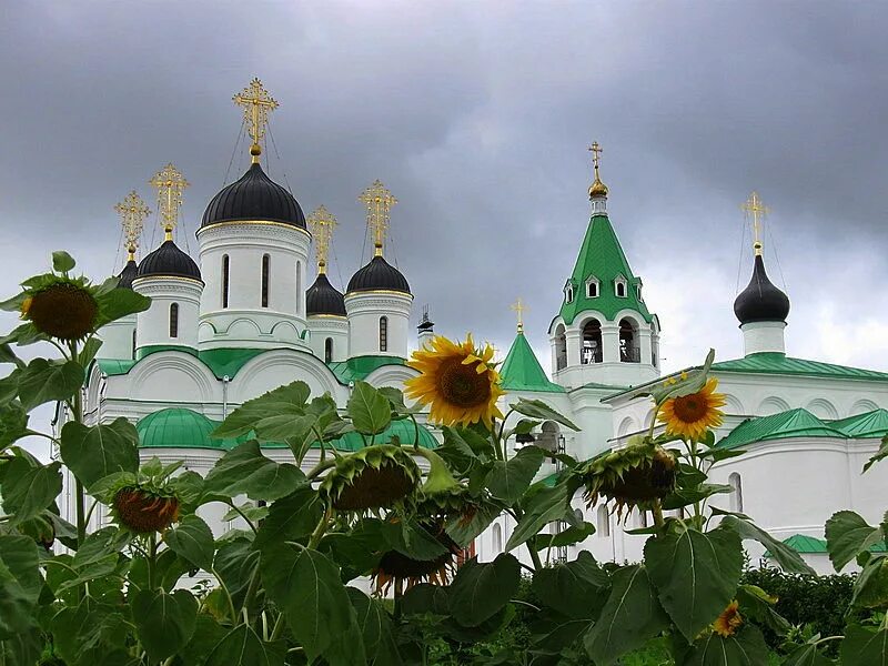 Женский монастырь святой троицы. Свято Преображенский монастырь Муром. Храм Святой Троицы Свято-Троицкого монастыря в Муроме. Цветы Спасо Преображенский монастырь Муром. Троицкий мужской монастырь Муром.