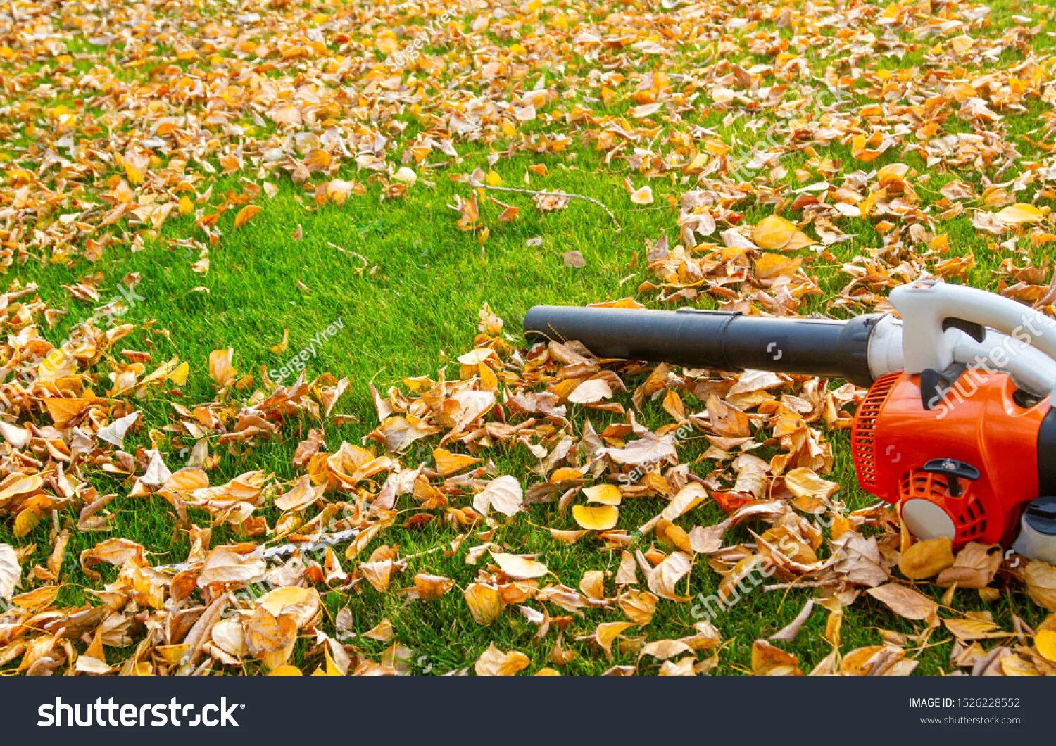 Larry's leaf blower. Листья воздуходувка. Leaf blower. Leaf blower. Leaf blower.