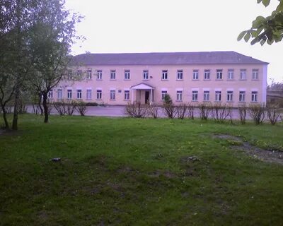 Васильков школы