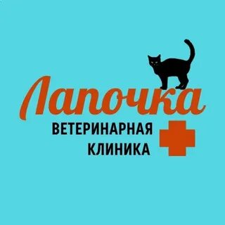 Ветеринарная березовский свердловская область