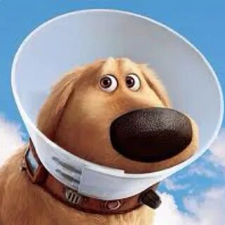 Dug dug go