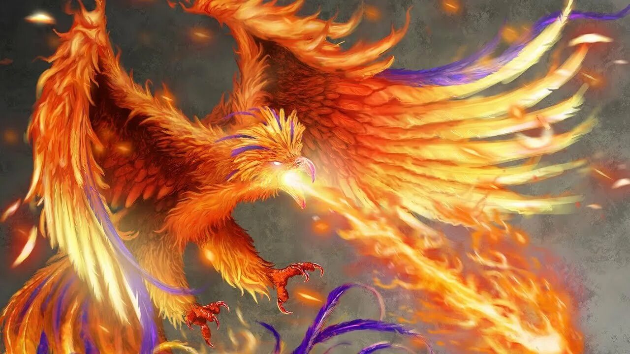 Феникс phoenix. Огненный Феникс Дилюк. Зороастризм Феникс. Китайский Феникс Фэнхуан. Референс Огненный Феникс.