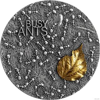 Ant монета