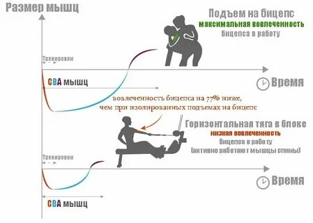 Подъем на бицепс нормативы для мужчин