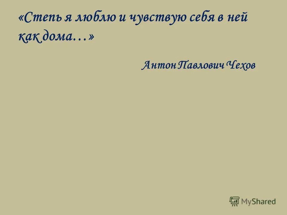 Чехов степь сравнения в тексте 3 класс. Степь чехов отрывок. Стих никитина степная дорога. Степь отрывок из повести чехова. Антон павлович чехов степь рассказ.
