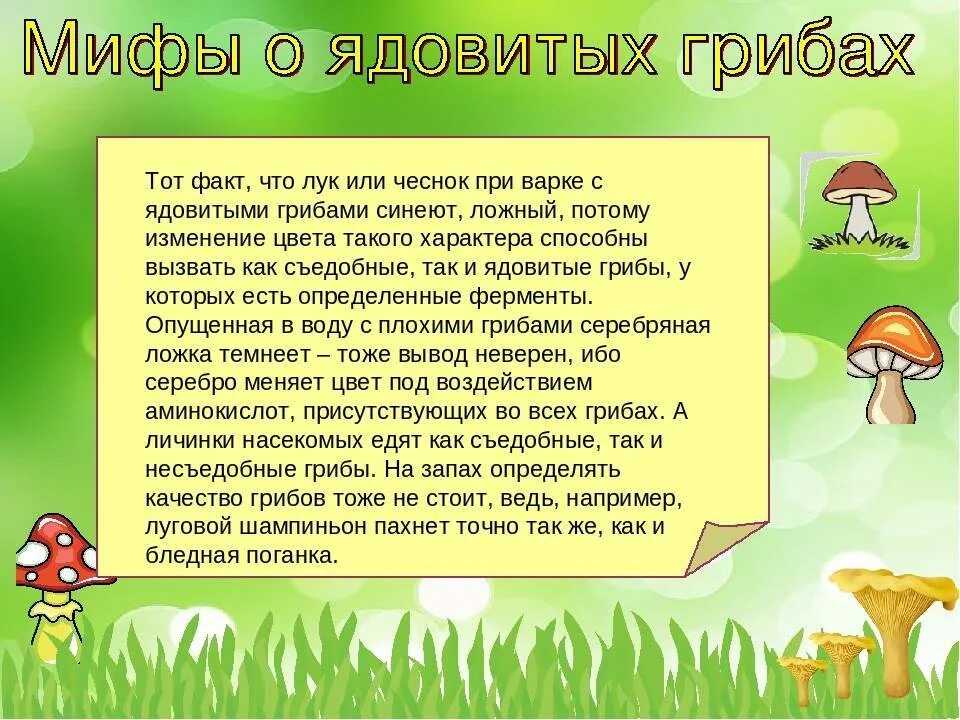 Чтение про грибы. Интересное про грибы для дошкольников. ядовитые грибы для детей. грибы съедобные и несъедобные интересные факты. интересные сведения о съедобных грибах.