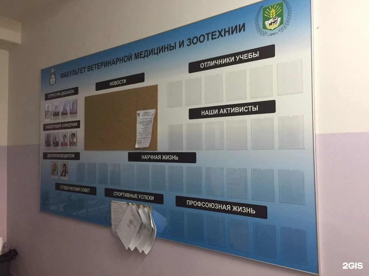 Паспортный стол большая