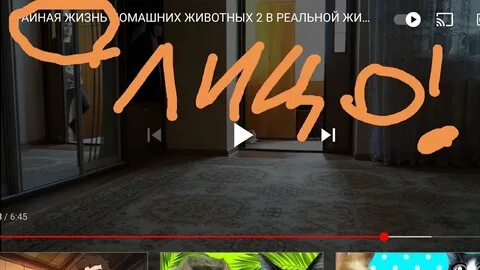 Давай ка в реальной жизни