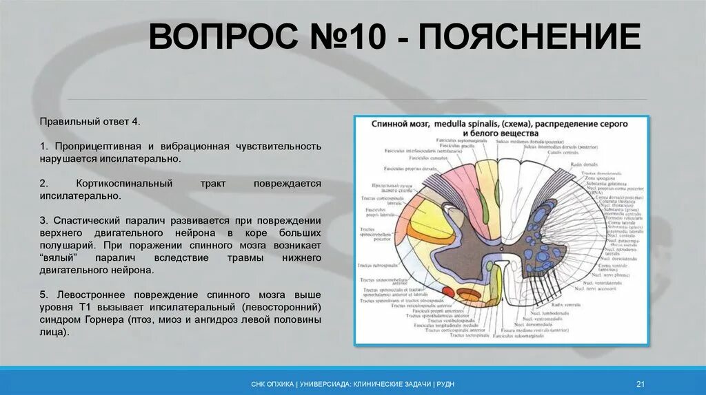 Какую функцию выполняет серое вещество мозга. Симптомы поражения серого вещества спинного мозга. Синдромы поражения серого вещества спинного мозга. Функции серого вещества спинного мозга. Поражение серого вещества спинного мозга.