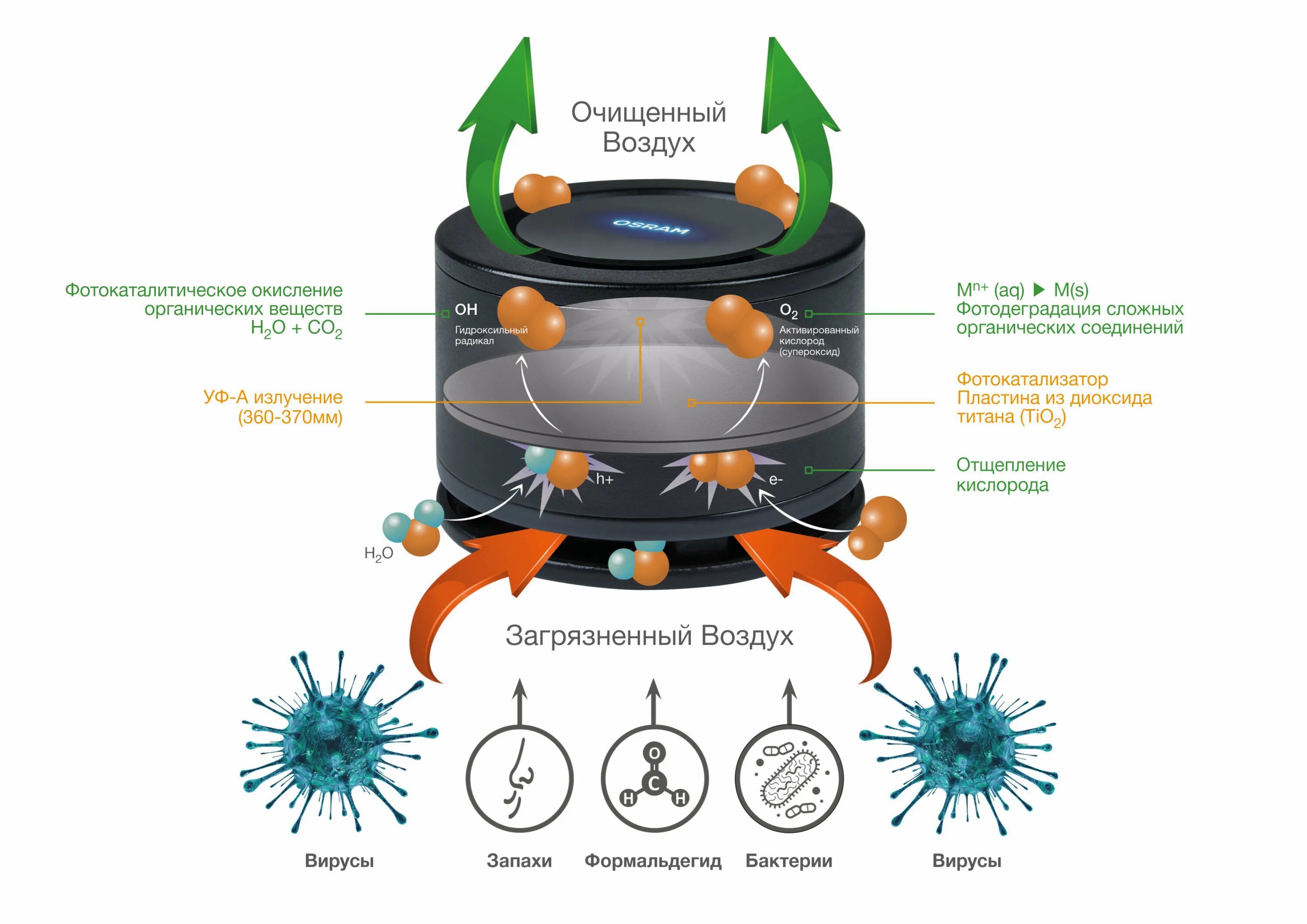 Очищение воздуха от пыли. Автомобильный очиститель воздуха Osram AIRZING. Очистка воздуха от бактерий. Очиститель воздуха от бактерий. Очиститель воздуха от вирусов и бактерий.