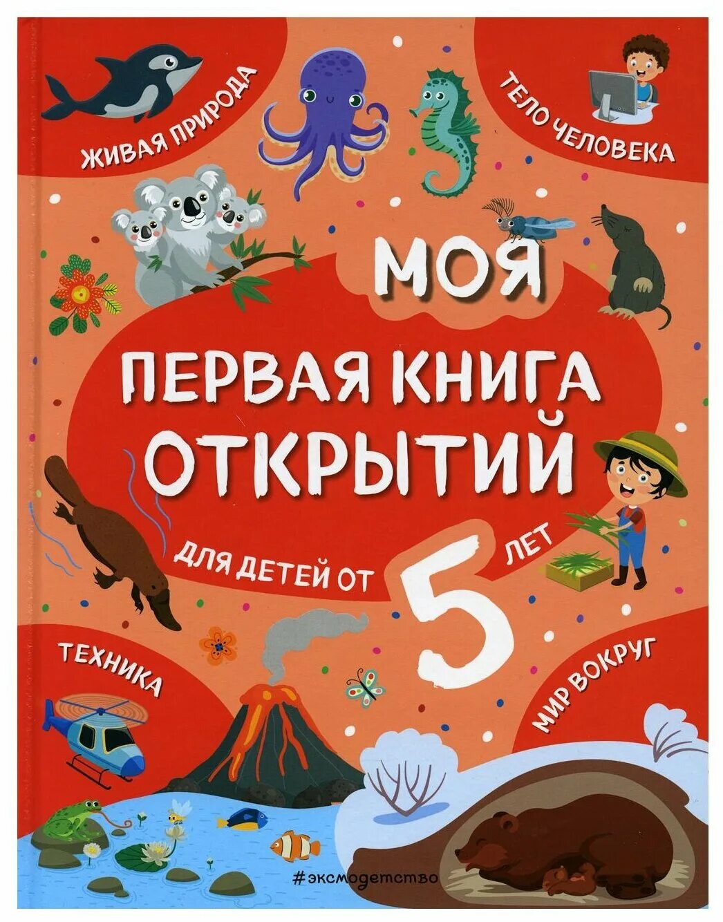 Книга открытие года. Книга открытие года. Книга открытие года. Открытие книги. Г.