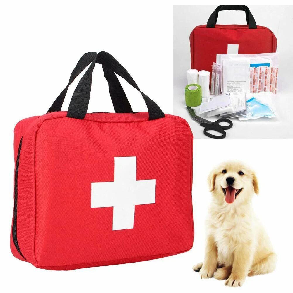Аптечка для животных. Аптечка для кошек ветеринарная. Собака и аптечка ветеринар. Ветеринарная аптечка. Кейс ветеринарный.