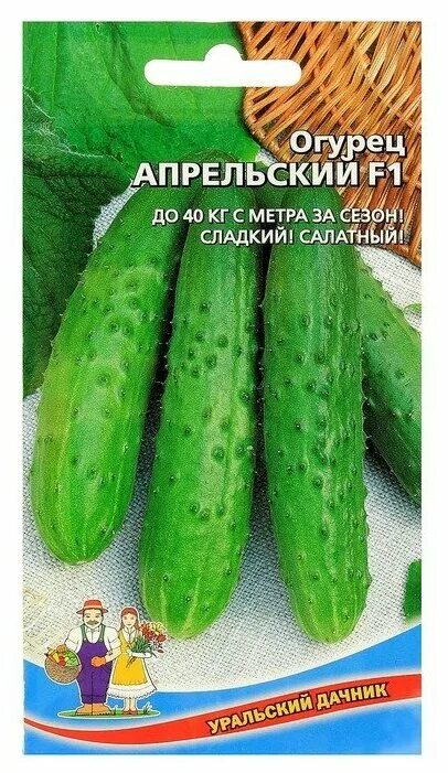 Огурец зозуля семена